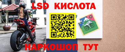 шишки Бузулук